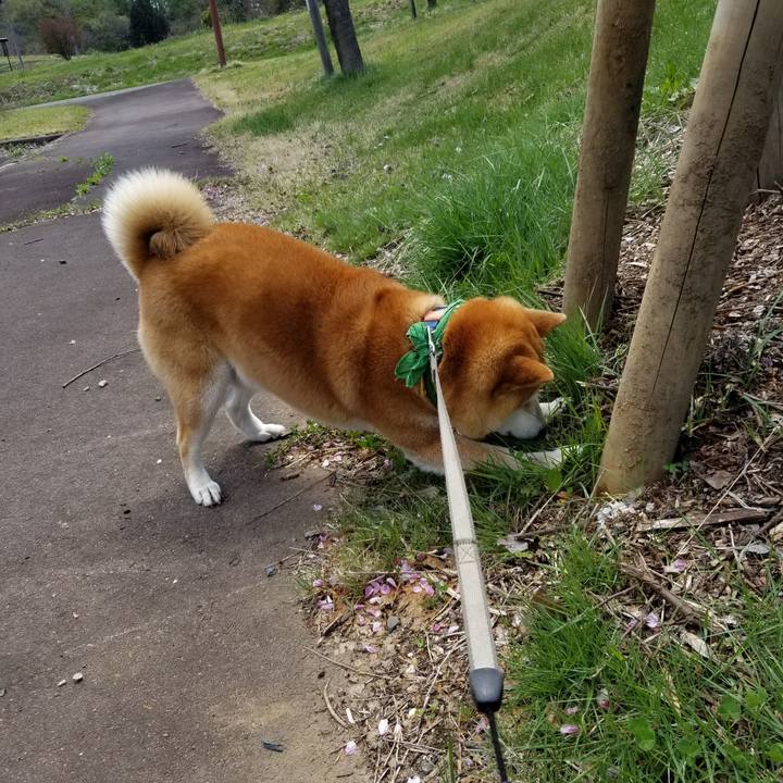 18fb2f15 3f43 4537 b553 170995777fe1 1556768692144