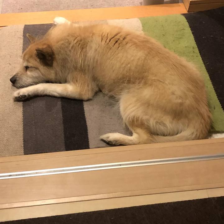 18fb5ac5 09fc 42b5 8ece 759355741f4b 1587998202548