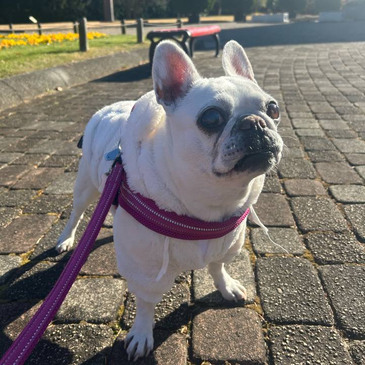 18fbab73 60a7 46c9 bfa5 6b10d699a401 1734245820384