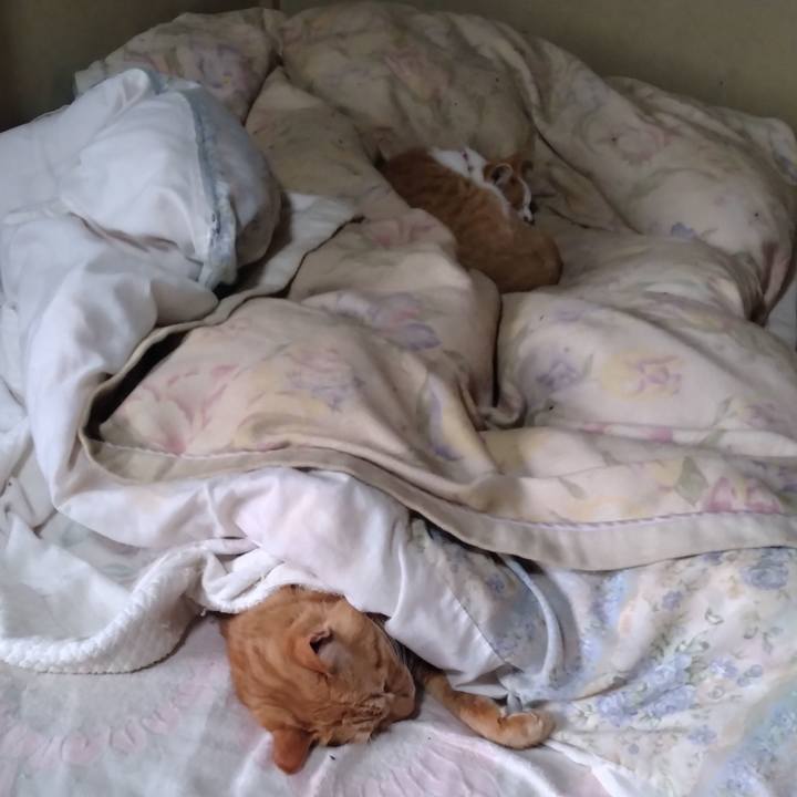 18fbb1d5 2ba4 43f9 93be 6659a2ba3446 1763447550050