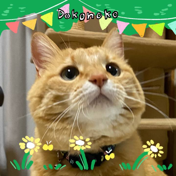 18fbcdb4 a60f 4511 8166 b173afd43dc4 1711018346413