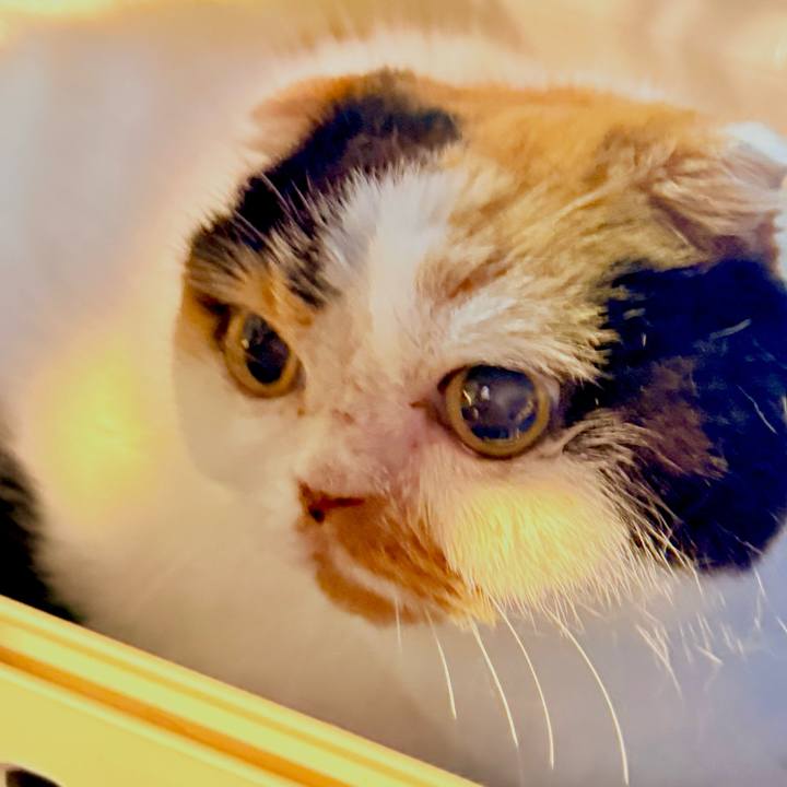 18fbd9d4 2954 4569 ab08 6ad9edbdc3b1 1759653274521