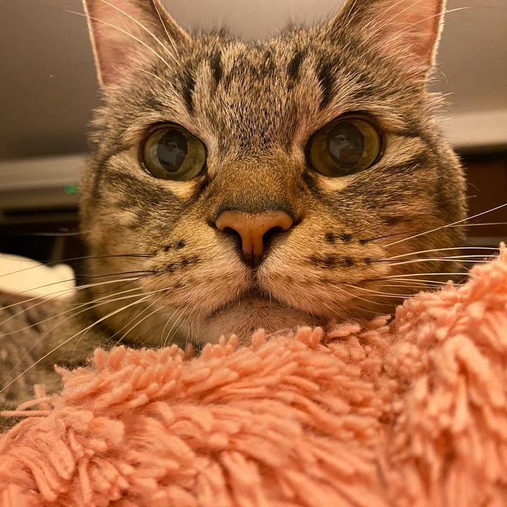 18fbe445 80c5 427e a1b3 ca86979ec9f3 1727564151615