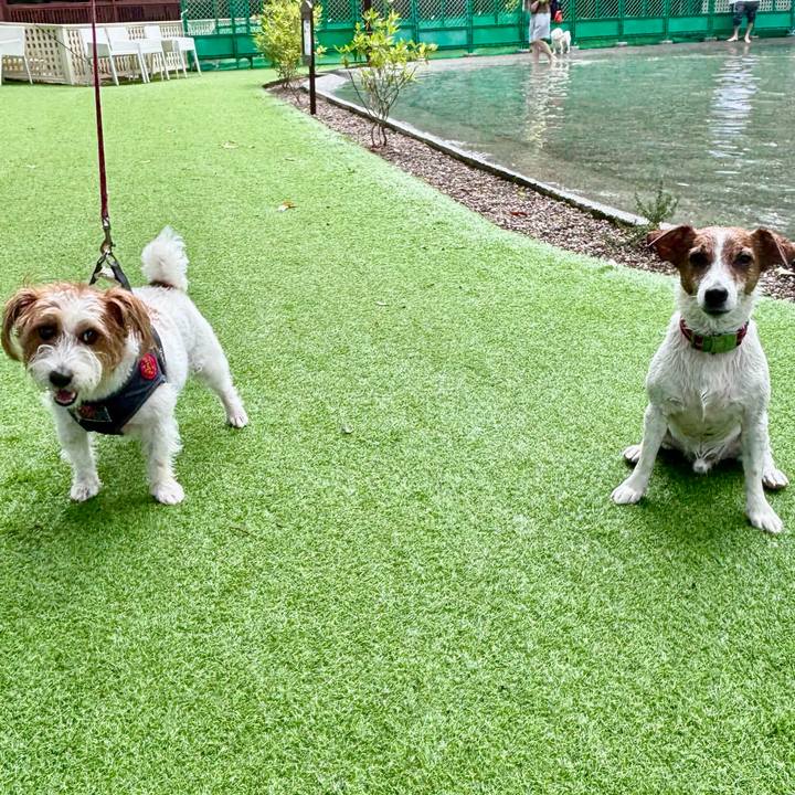 18fc0feb 5271 47b5 99fb 552c3fabec46 1751785283120