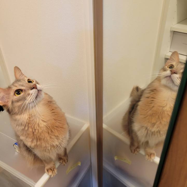 18fc65ac 0566 4c3d a086 6f03b2f58009 1671010493677