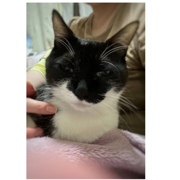 18fc8923 4ca6 4600 9193 5d34d46e883a 1603915928346