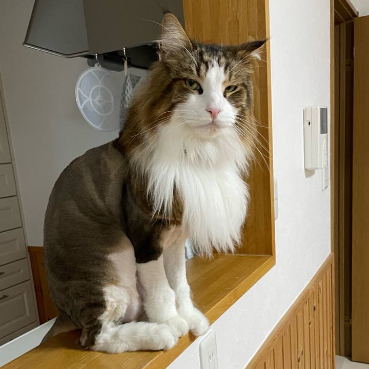 18fc8c75 80ed 41cb bf7b de11904e5d90 1687116404514