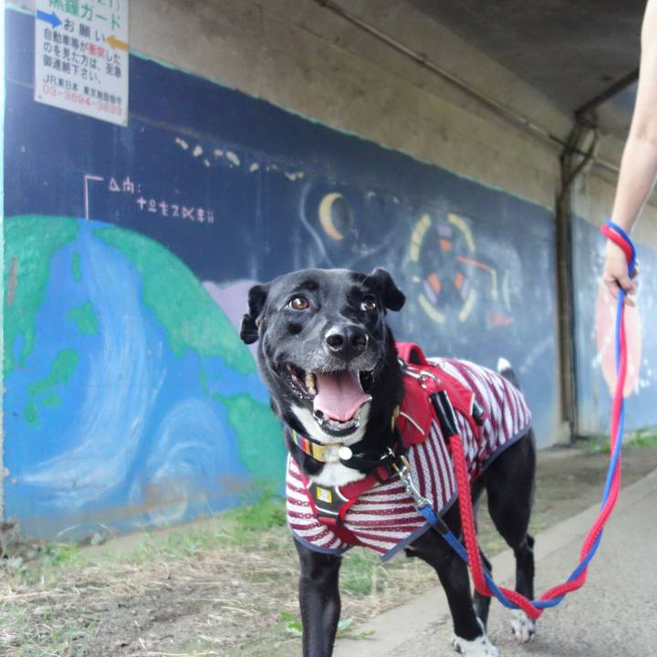 18fcb1c9 f4f3 453f b725 fefb39e88062 1597794794789