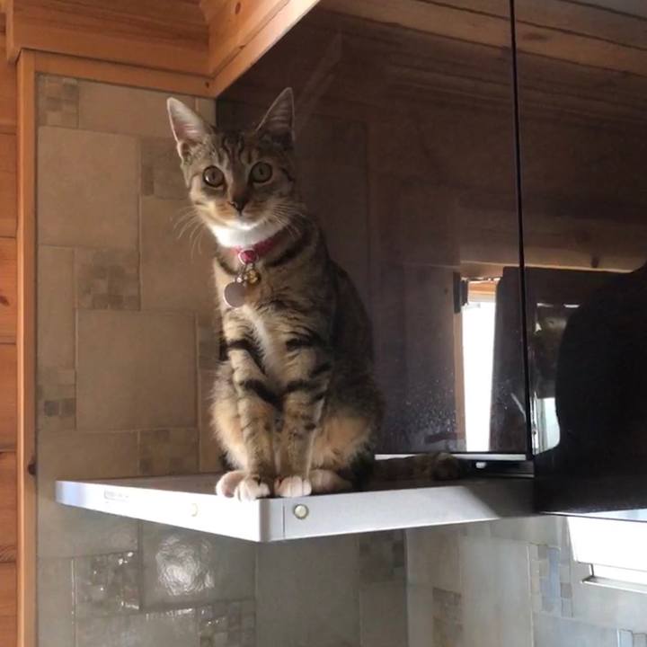 18fcd6d5 38ae 43b5 b755 a00fdaa7522c 1558672140649