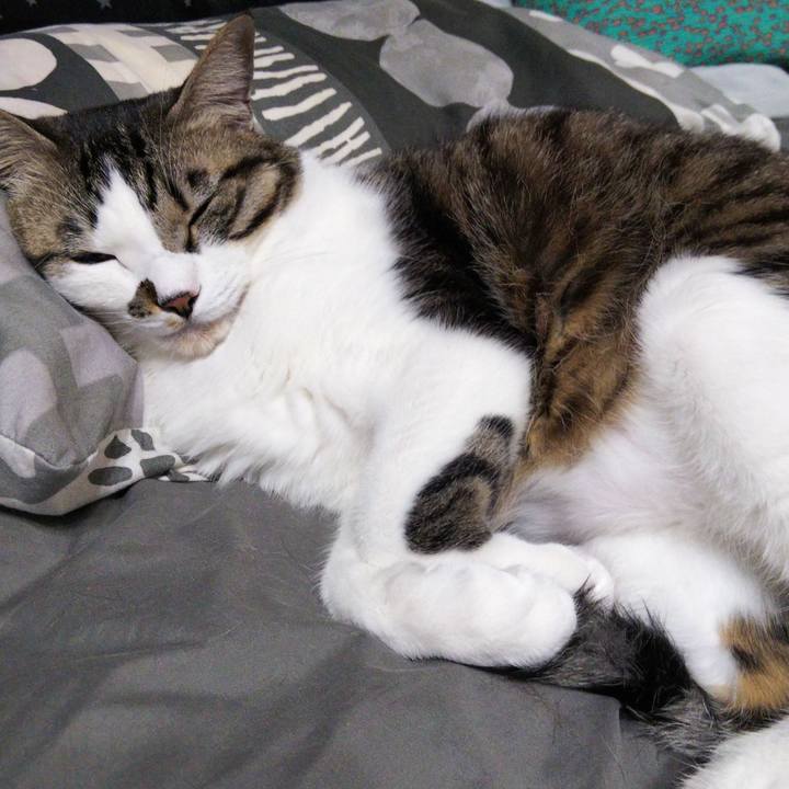 18fd158d fd7d 48ab 96ce ed5eef30d8d5 1643976993856