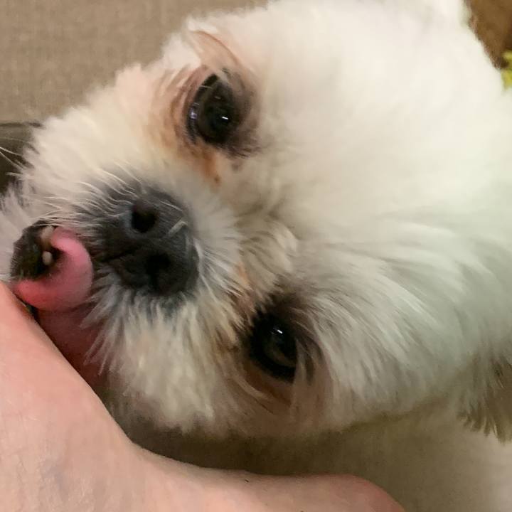 18fd2fc7 dd99 4613 acdc 0122921e3d0f 1694522769681