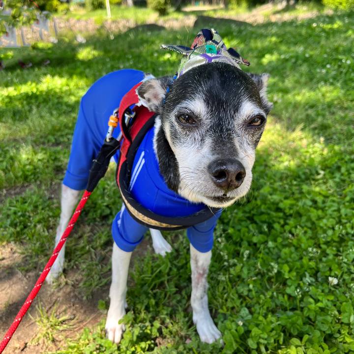 18fd45cc 4918 496f a760 0d15eb062d41 1651573337039