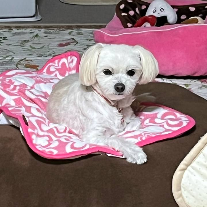 18fd8ef3 9e42 482a aa6a 237dc6f91b73 1666786764896