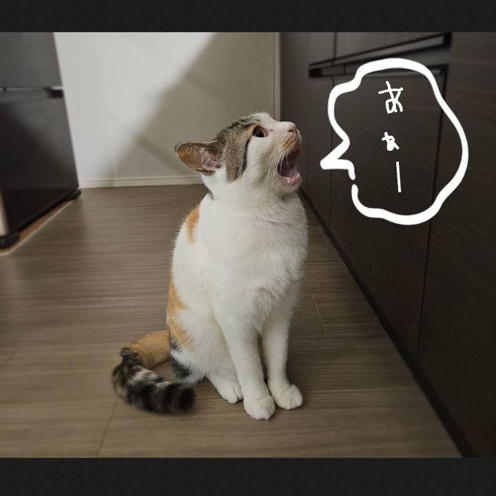 18fd9ffb 7d15 4874 873a 1e30a34cea4e 1767880885005