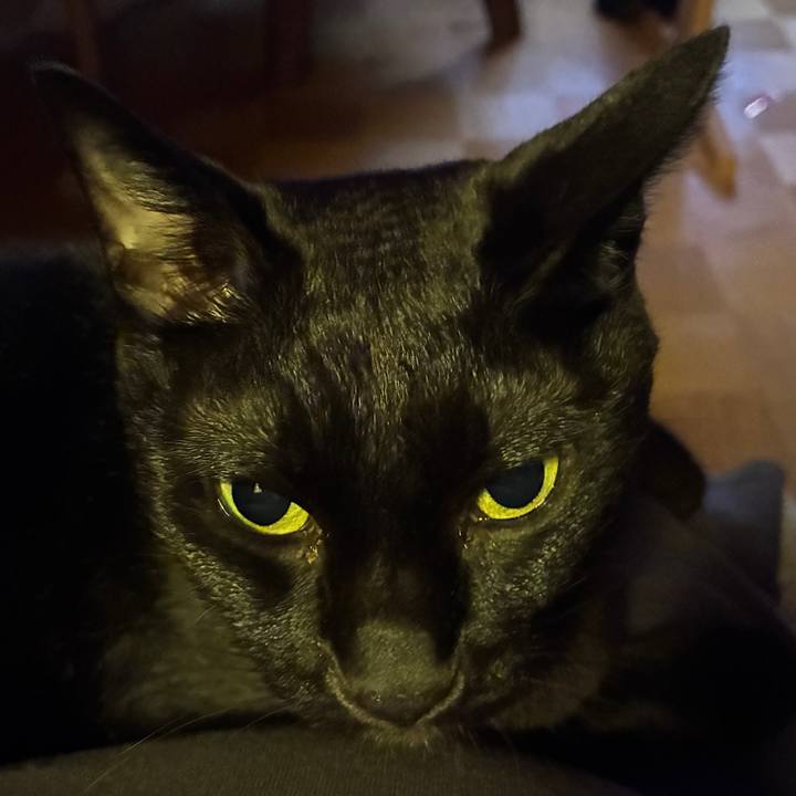 18fda044 2c70 443f b73e 273bb331ee1d 1755002746042