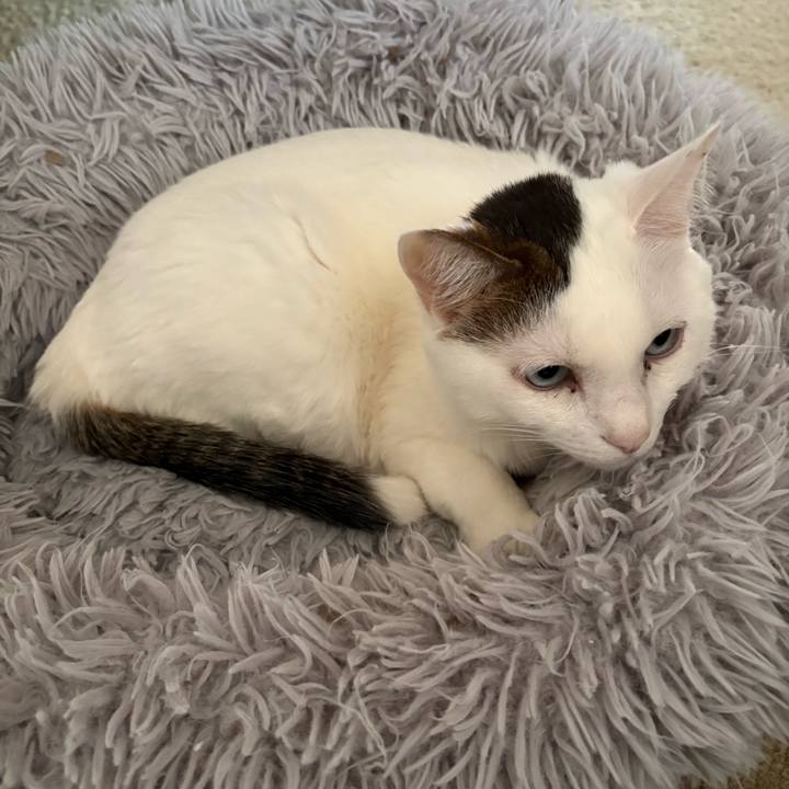 18fda728 c6b7 40c1 9edd 52cde3ace977 1770511929857