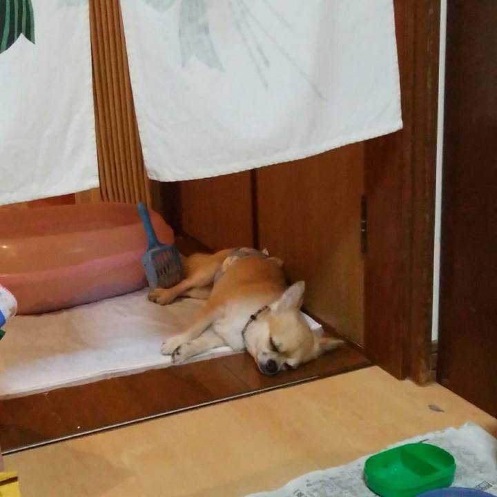 18fdb173 8d16 4b39 9cd3 ed8dbdb9b440 1533471919326