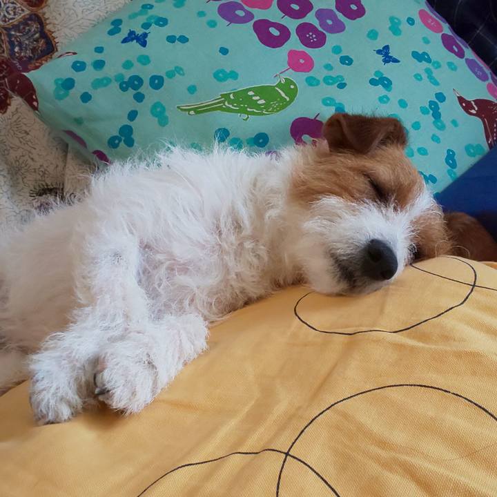 18fdd4b3 c480 4293 bab9 4532eaf3e7ad 1560305487373