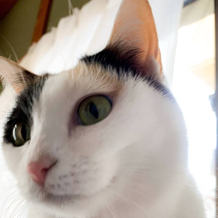 18fdd78d e936 4951 aade 4ea8f0638c6b 1581380490663