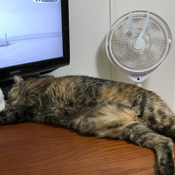 18fdf5e9 7e51 4505 8cb3 d9e5dde64e1a 1532261438878