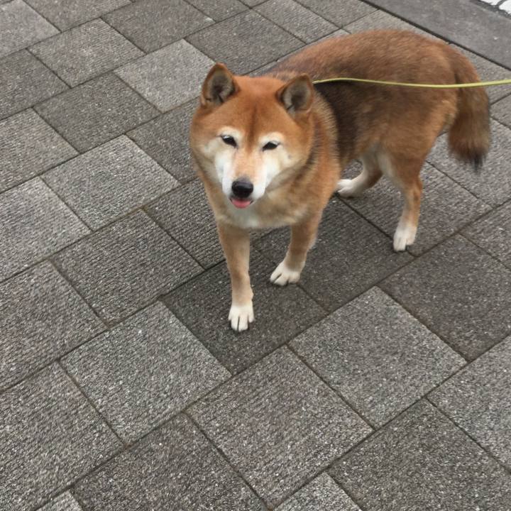 18fe4be0 0325 4e5c bb48 341965a0e6b2 1610423821928