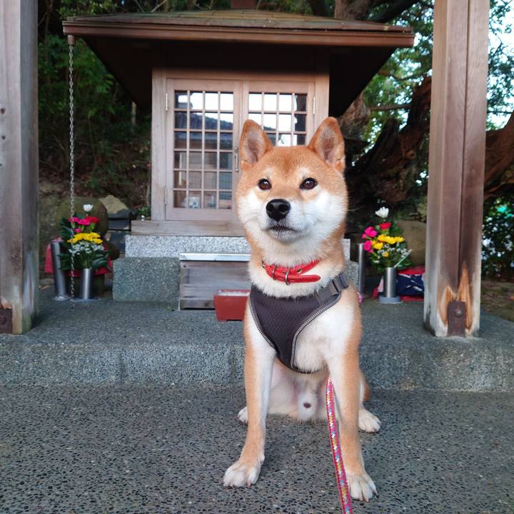 18fe7e42 545d 4cf0 b37f be1351c651a6 1759186997701