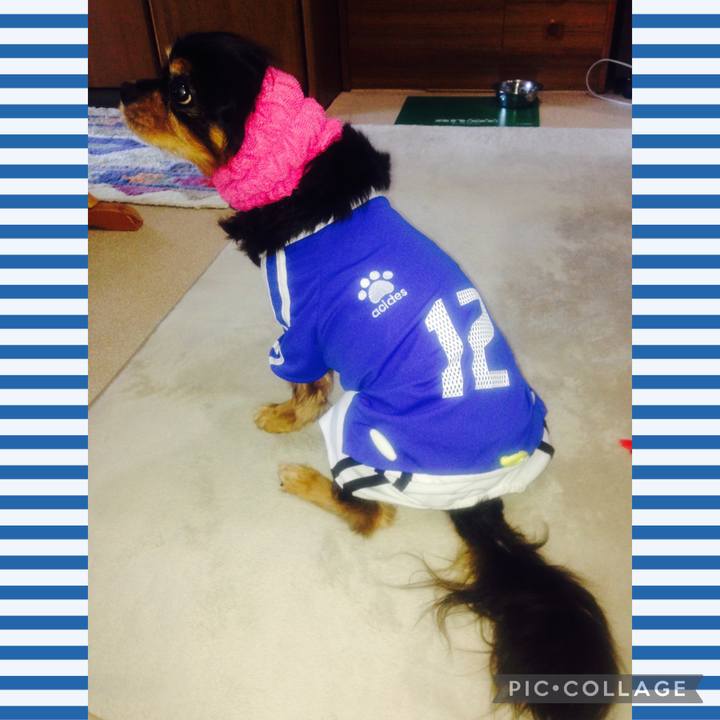 18feacea e53f 4edf 996a 0ff606903694 1656046182333