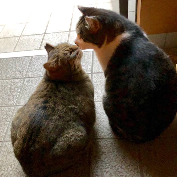 18feba9c 79e4 4c00 808d ab53fb0d625c 1614950307003