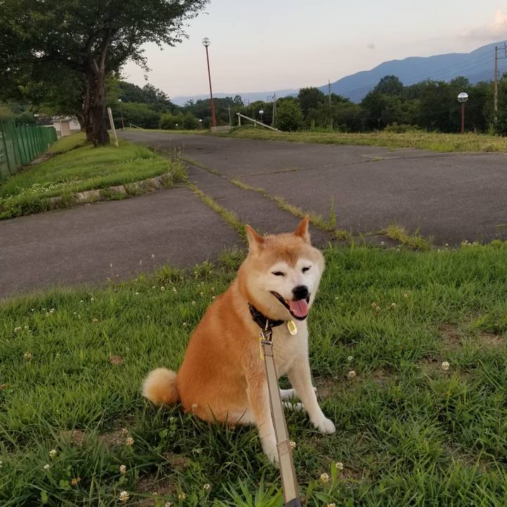 18fec2b3 2d10 448f b884 cf6c0109f9eb 1659086390978