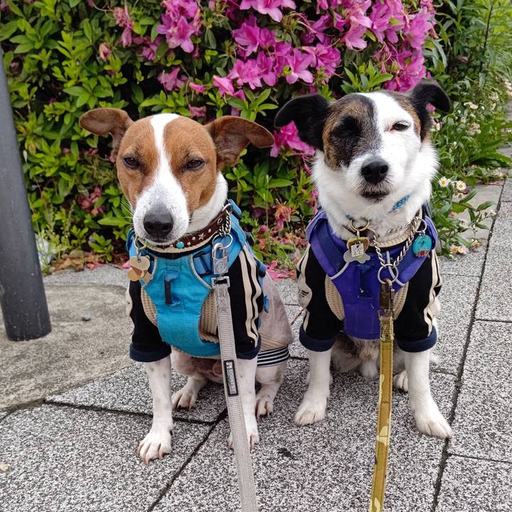 18fecfbd a664 406a b452 8dee93192c3c 1652048418360