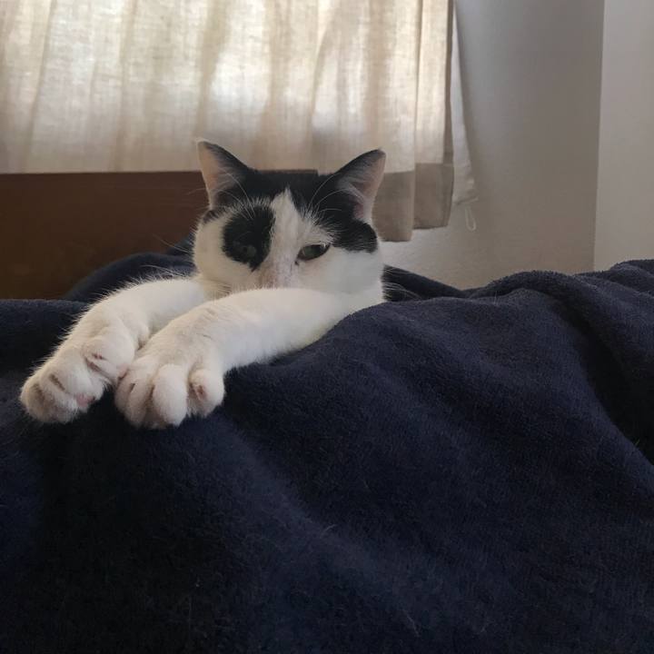 18ff0e5e 9d44 4605 bb20 ab0a4c96378f 1580772655568