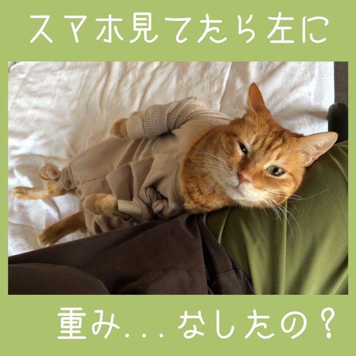 18ff3bd8 31e8 4282 b14e 22d75274d72b 1683019493283