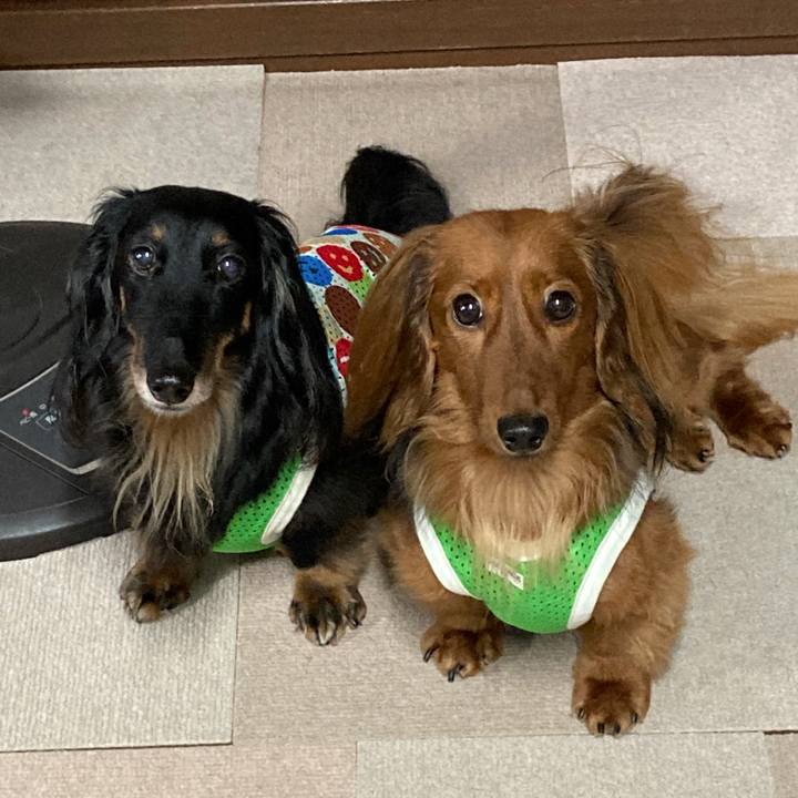 18ff8172 33f0 4f5e ab1d 73076e0aec30 1752829961855