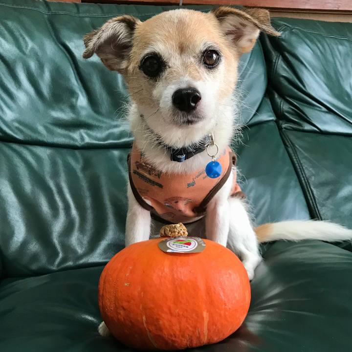 18ff8ac5 a1bd 4500 ab1d ab89419ab0dd 1662630776847