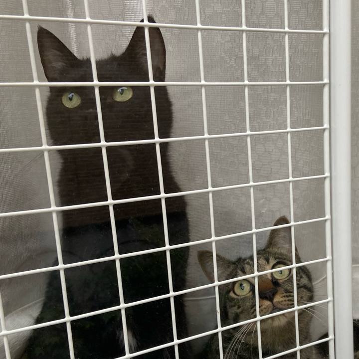 18ff8bdf df13 4708 9d4e 1afdf039a17a 1652785628285