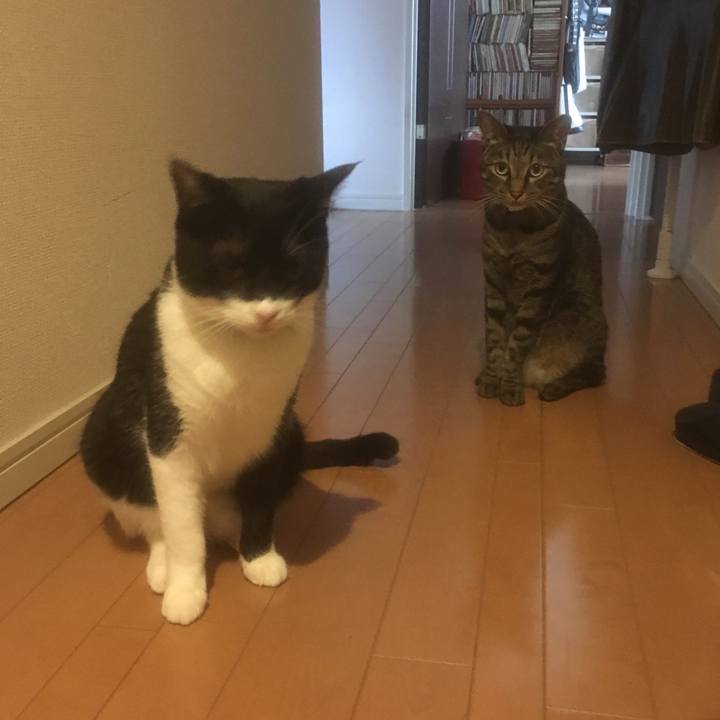 18ff923e ac4e 41a7 9906 24d9f3466363 1535576566314