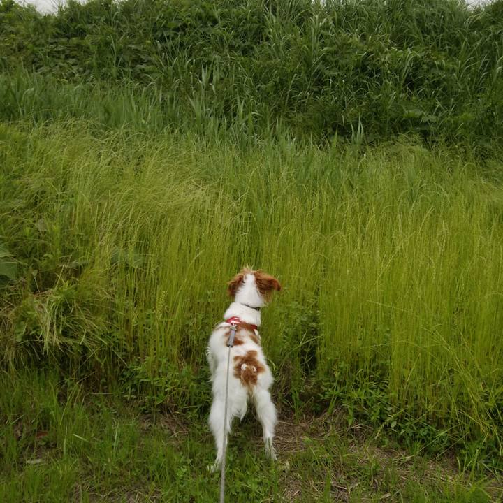 18ffd275 7ff8 43a8 a854 a37bb5f08ef0 1527584593117