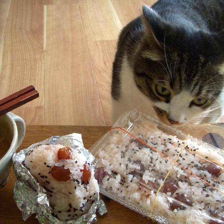 19001419 8e1c 4eee a9d1 5785267b1561 1534310395423