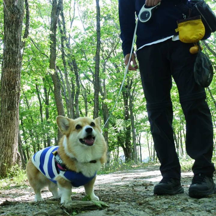 19001d91 f3fc 4b26 ac9a c54b4a263bd7 1654421894191