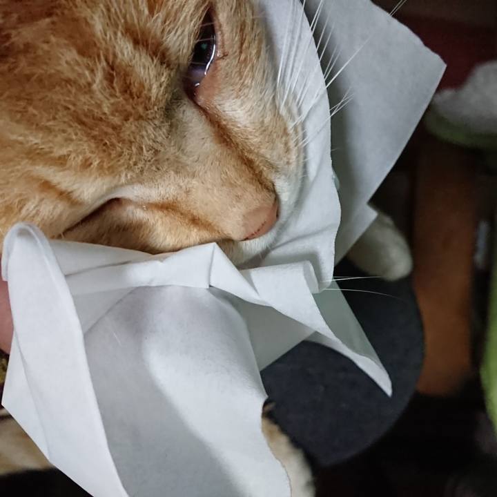 19002576 3cfe 499f 8dc9 c07763edb11b 1587184082357