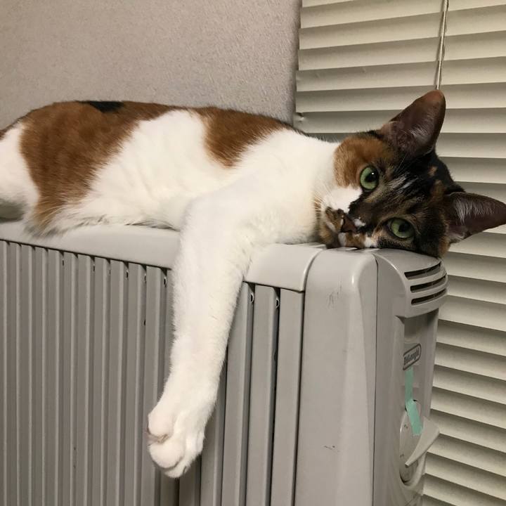 1900296b 570e 4f75 a7dc 3b3c0307eada 1525837327227