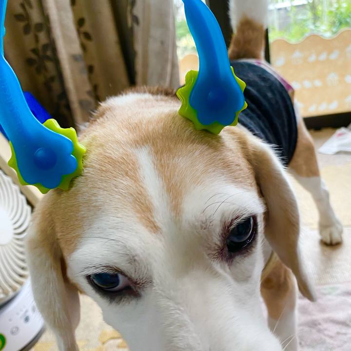 1900411d f20a 446b aa05 048a35d05cfd 1600840135702