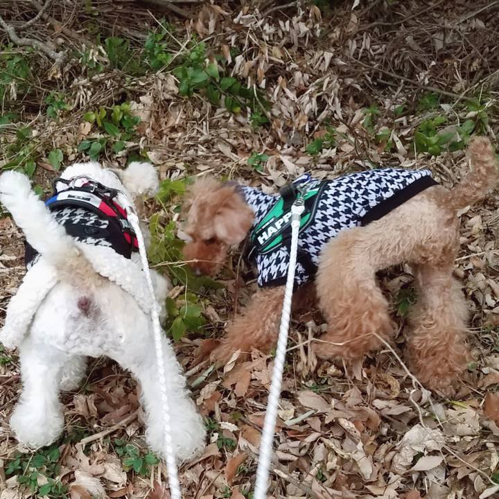 190045b1 bd6e 44ab a1a7 bab49796b1a8 1551220353982