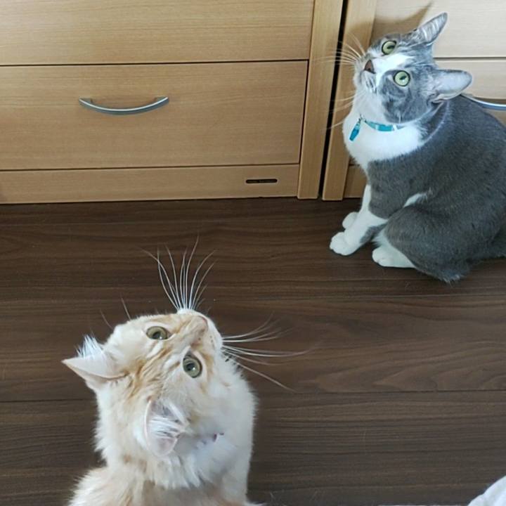 190094bb ffd9 4163 b4a6 f63958cb7e30 1664590915855