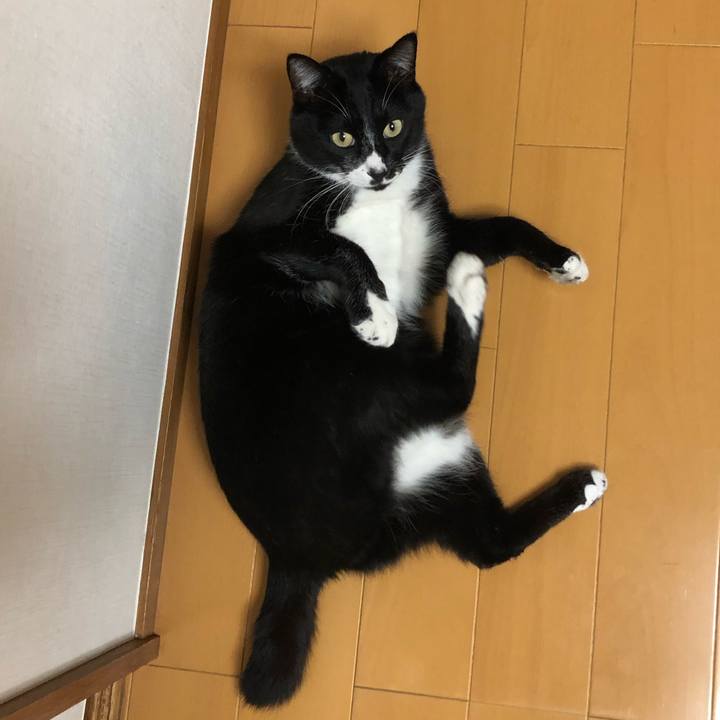 19009865 0a28 42e5 9e77 e52a7b18d061 1573789380510