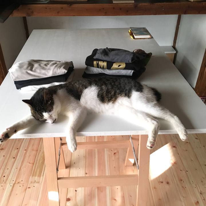 1900a471 7105 49b4 92c5 0f32b6ca8012 1530576752741