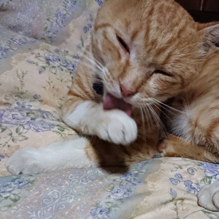 1900b554 00e5 4e96 9cea aec0b0abf828 1562761956872