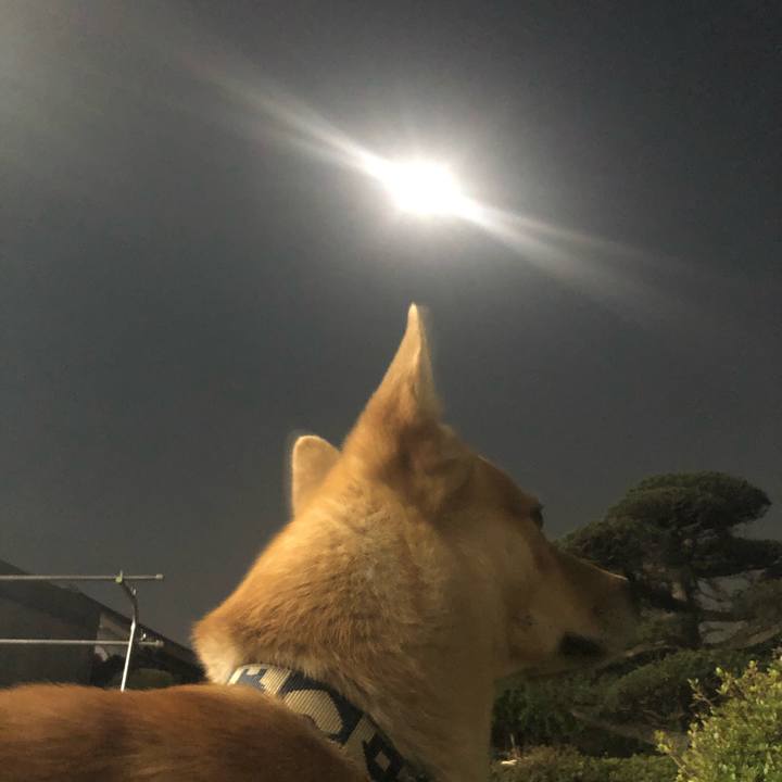 1900bf24 85e1 4c10 b930 0cedf821c637 1586354148030