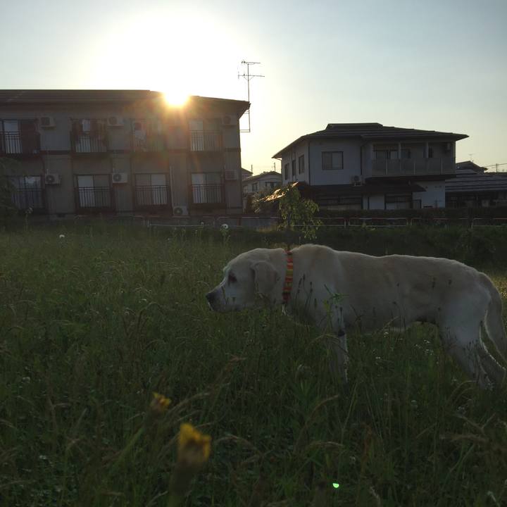 1900fd0a 37c3 45c4 8503 55b802d1166f 1528017499082