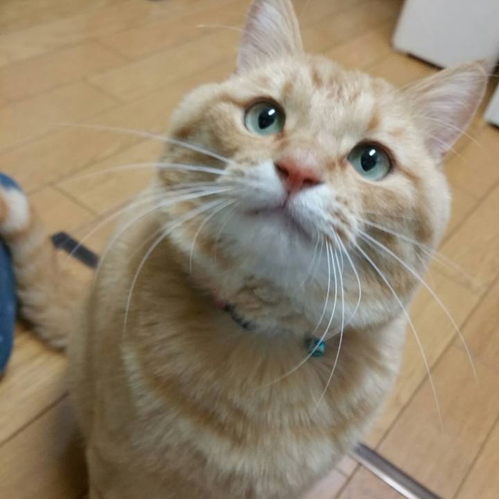 19011eb7 234a 42ad 8321 cad609210904 1513322413333